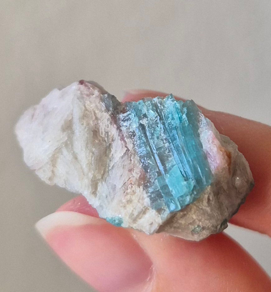 Paraiba Tourmaline Crystal in Natural Matrix – Collector Specimen