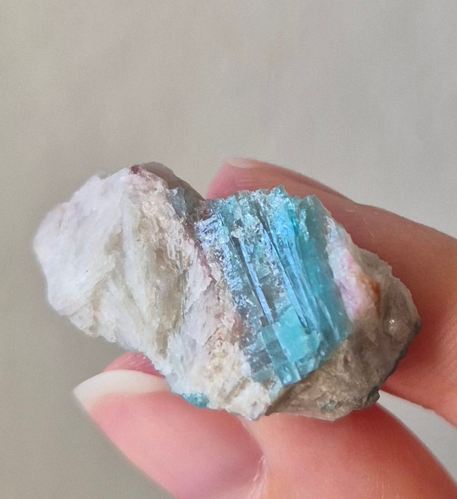 Paraiba Tourmaline Crystal in Natural Matrix – Collector Specimen