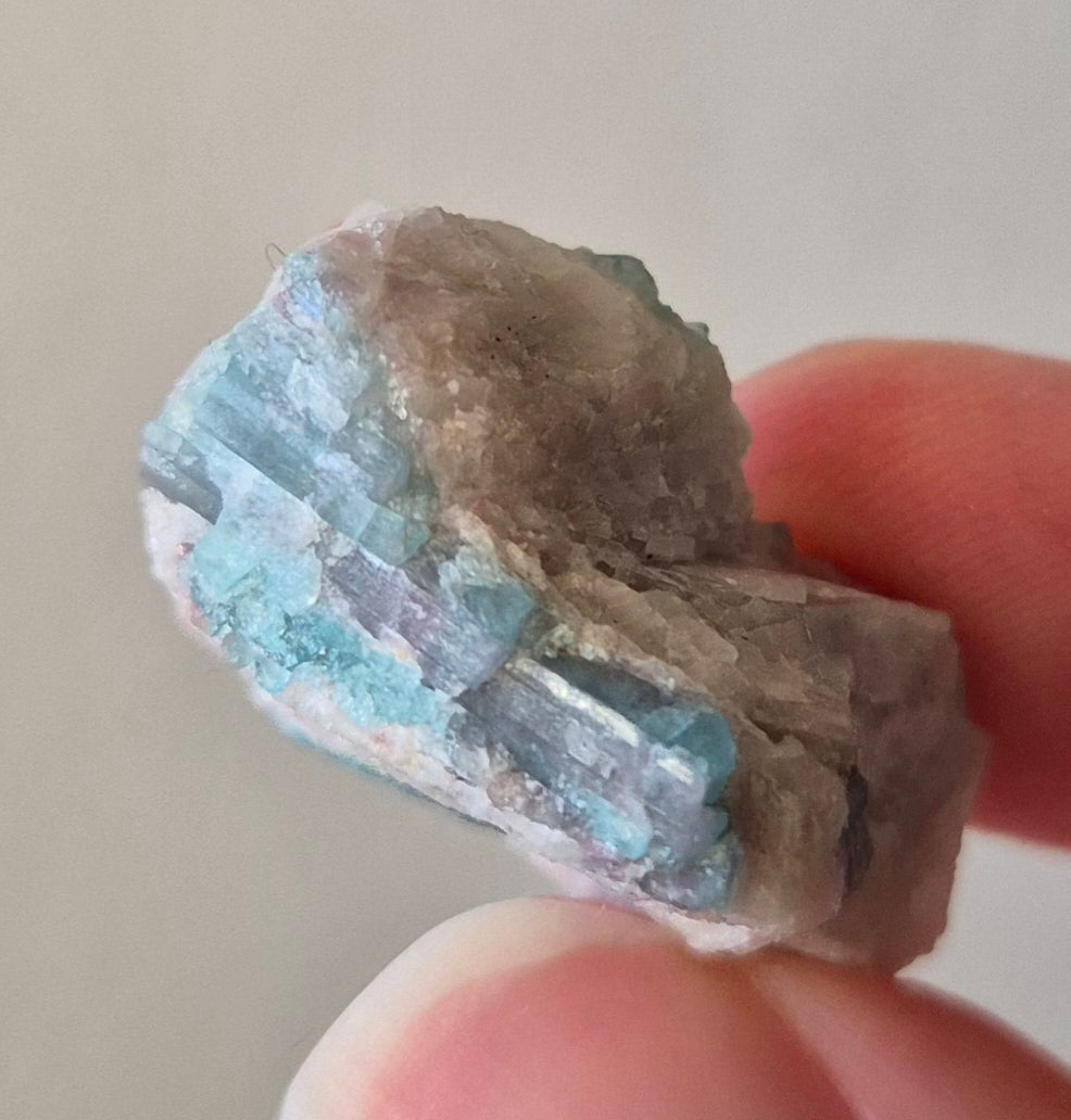 Paraiba Tourmaline Crystal in Natural Matrix – Collector Specimen