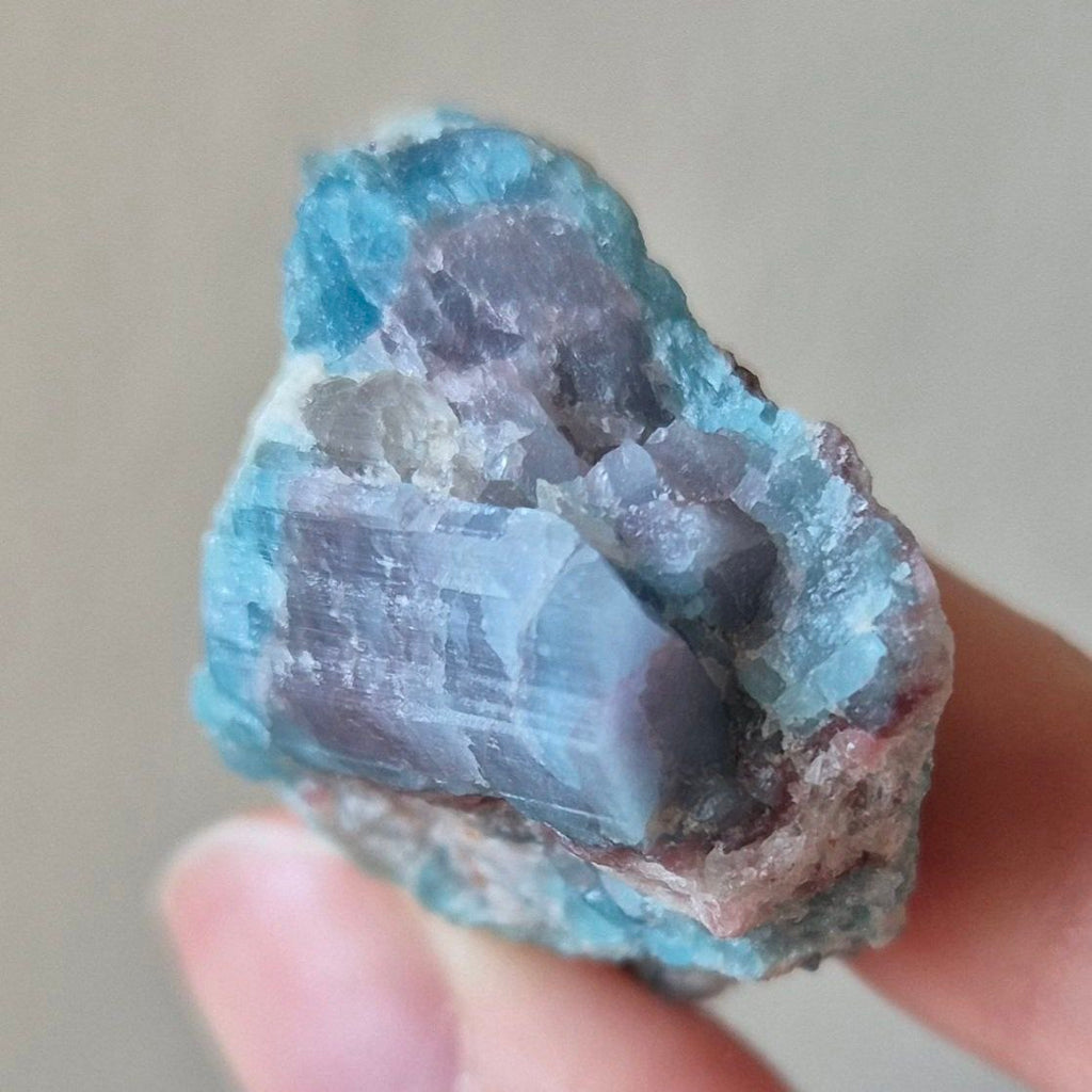 Paraiba Tourmaline Crystal in Natural Matrix – Collector Specimen