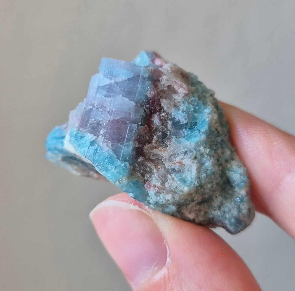 Paraiba Tourmaline Crystal in Natural Matrix – Collector Specimen