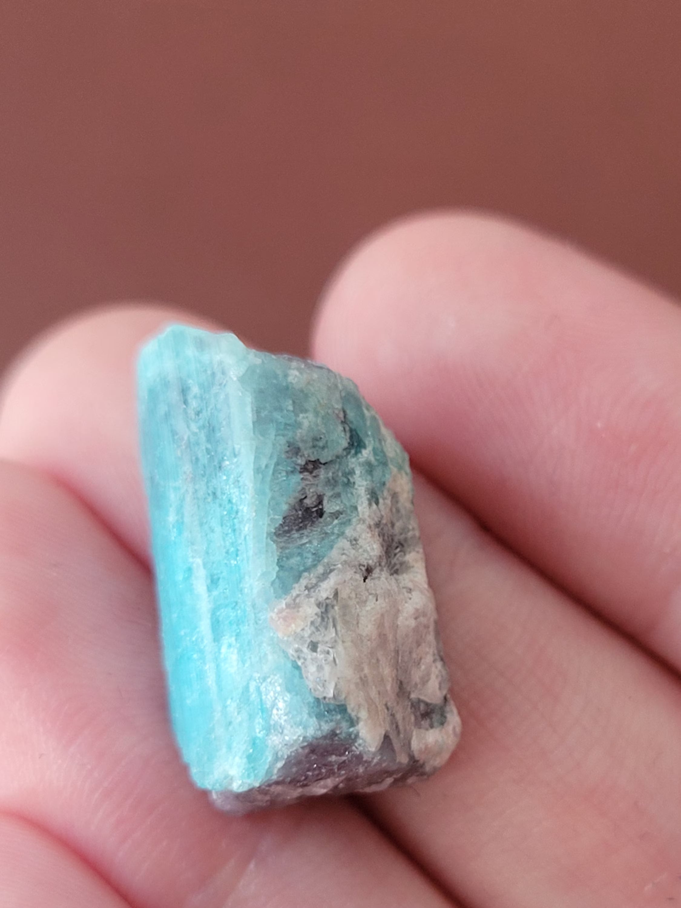 Paraiba Tourmaline Crystal in Natural Matrix – Collector Specimen