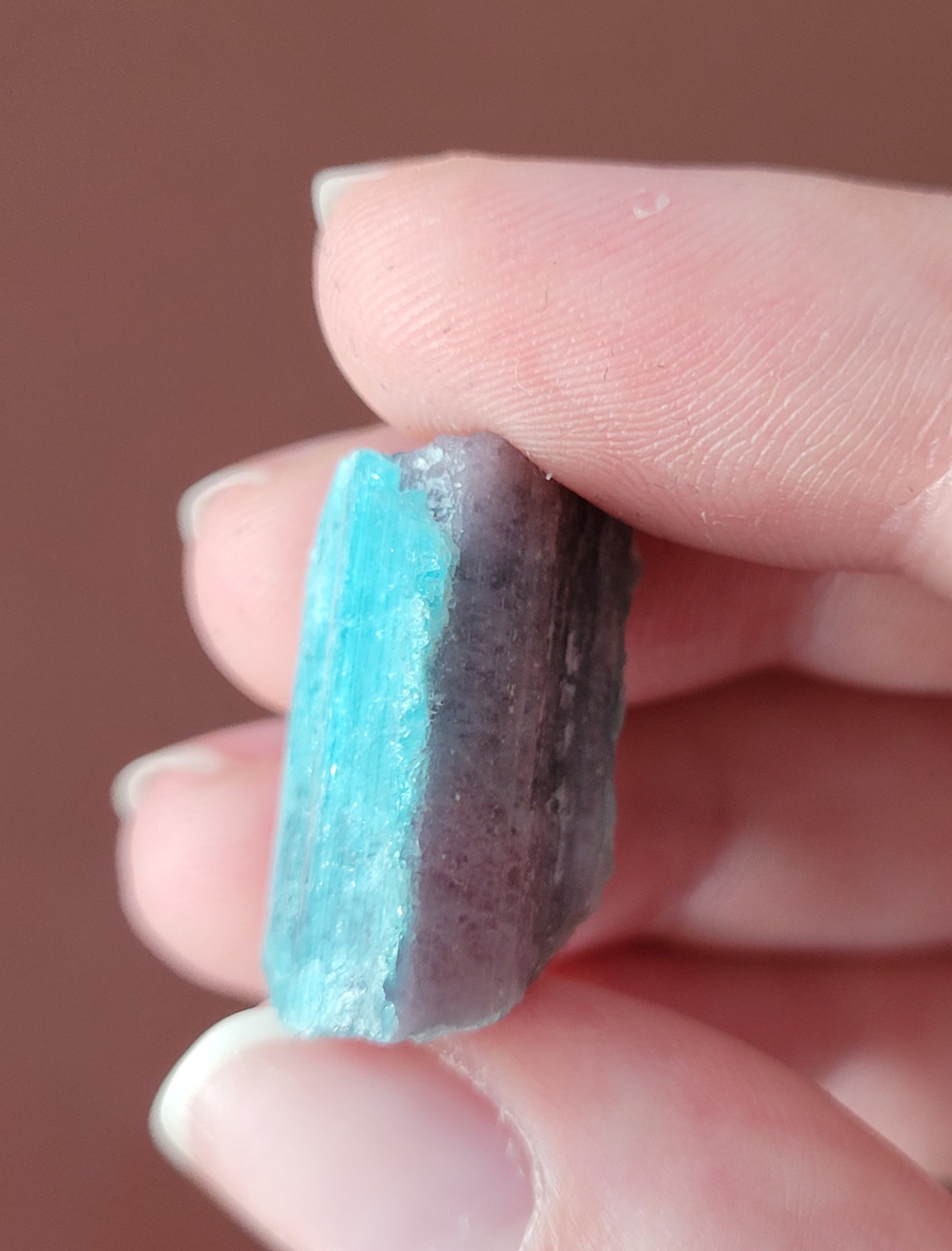 Paraiba Tourmaline Crystal in Natural Matrix – Collector Specimen
