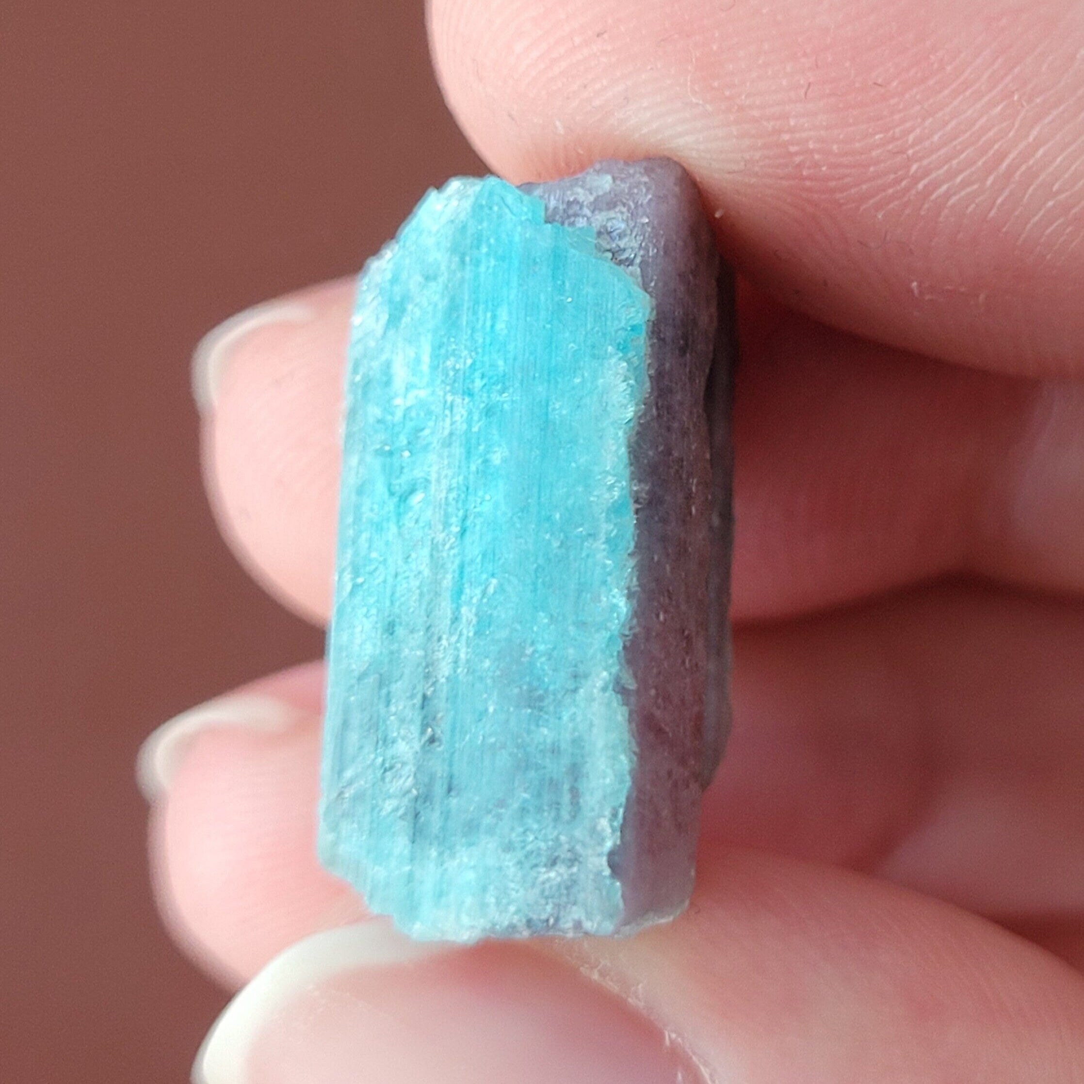 Paraiba Tourmaline Crystal in Natural Matrix – Collector Specimen