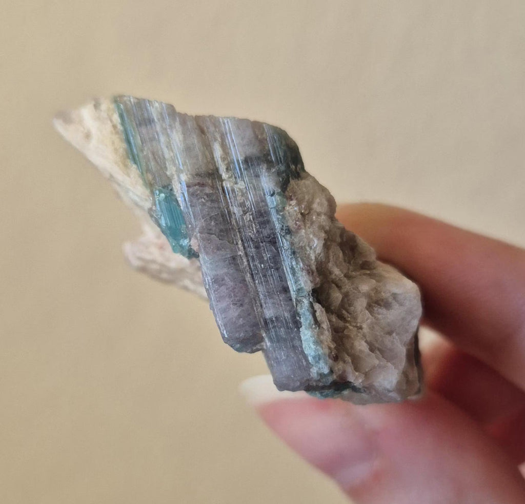 Paraiba Tourmaline Crystal in Natural Matrix – Collector Specimen