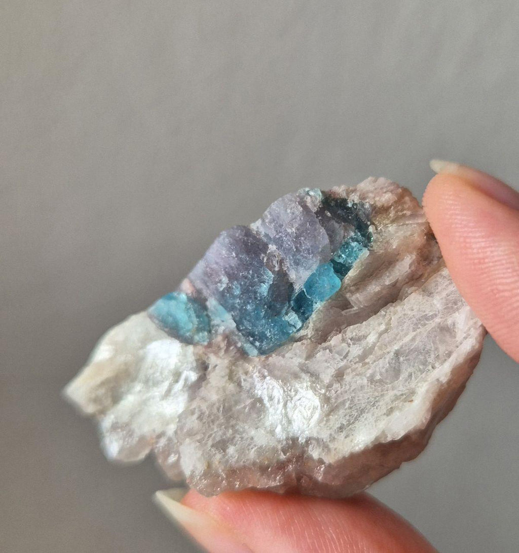 Paraiba Tourmaline Crystal in Natural Matrix – Collector Specimen
