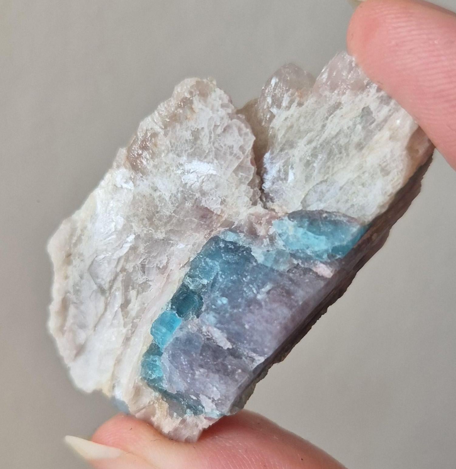 Paraiba Tourmaline Crystal in Natural Matrix – Collector Specimen